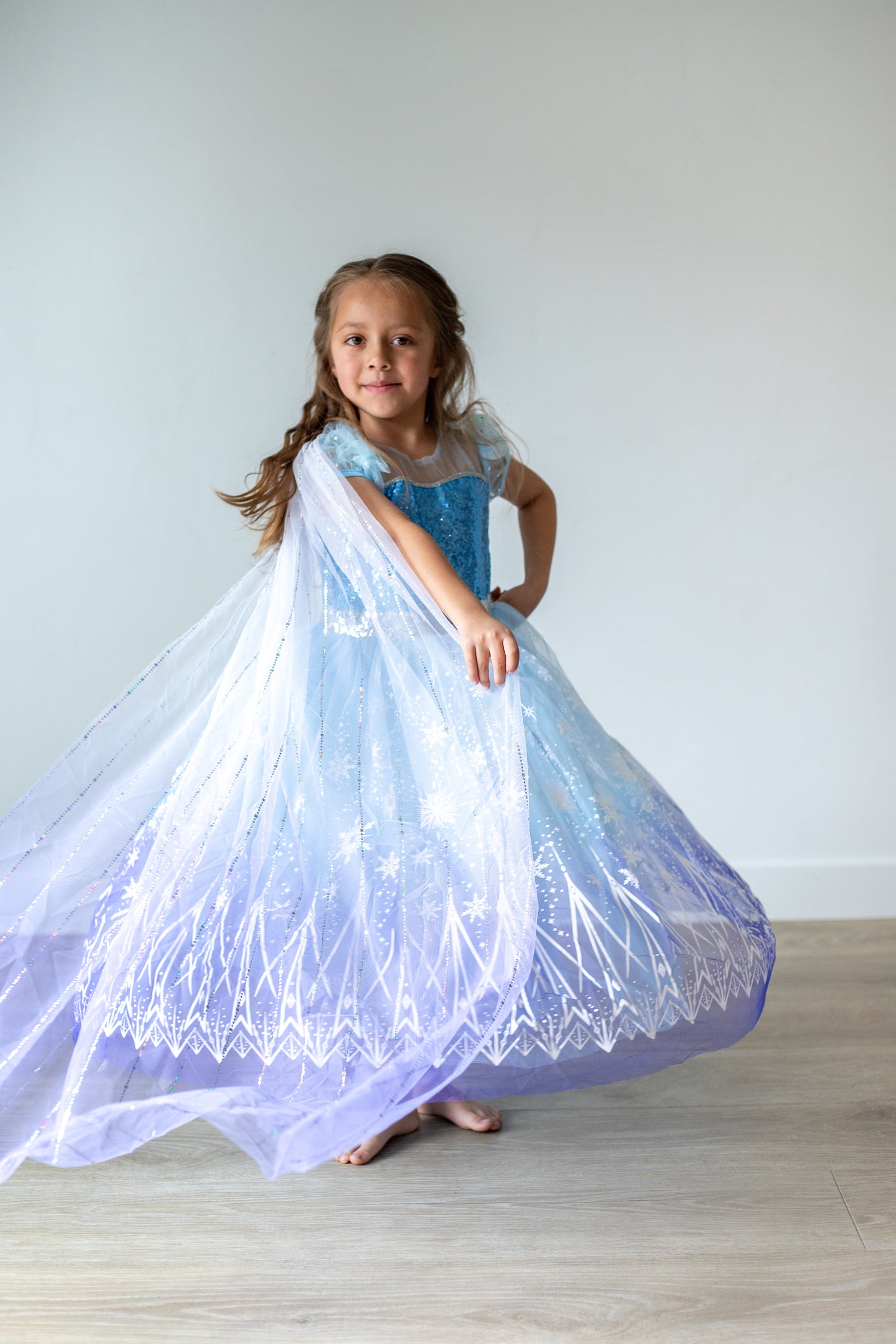 Silver Sequence Ice Princess