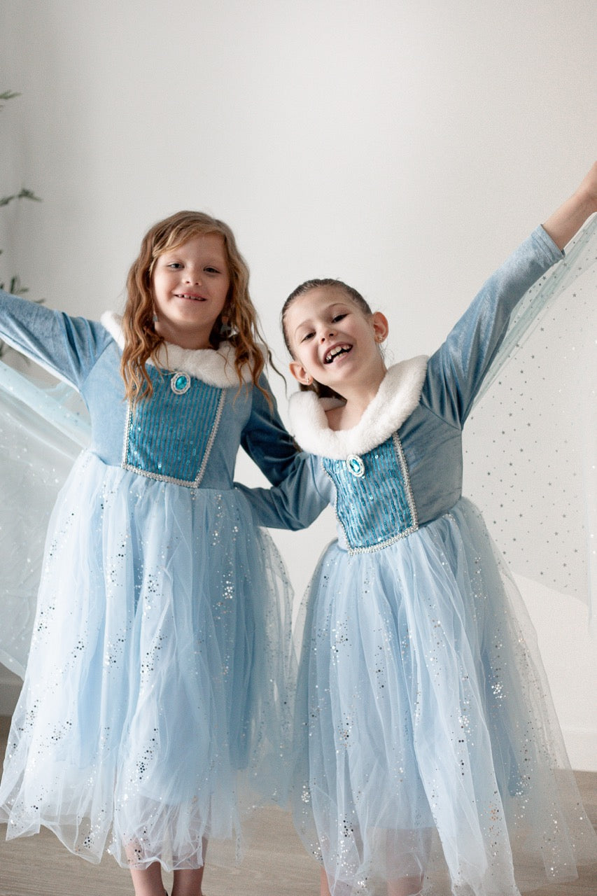 Icy Queen Princess Dress with Faux Fur Collar