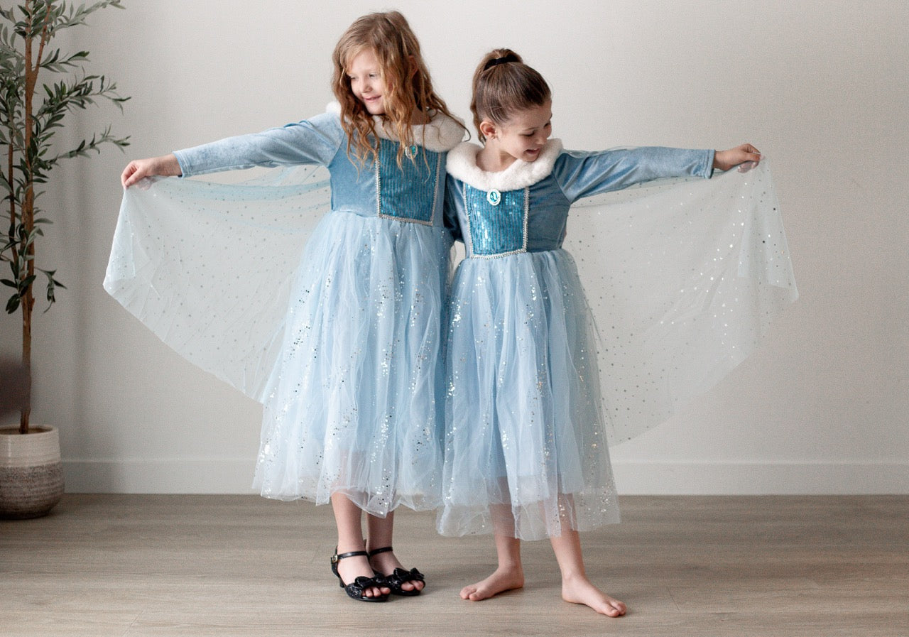 Icy Queen Princess Dress with Faux Fur Collar