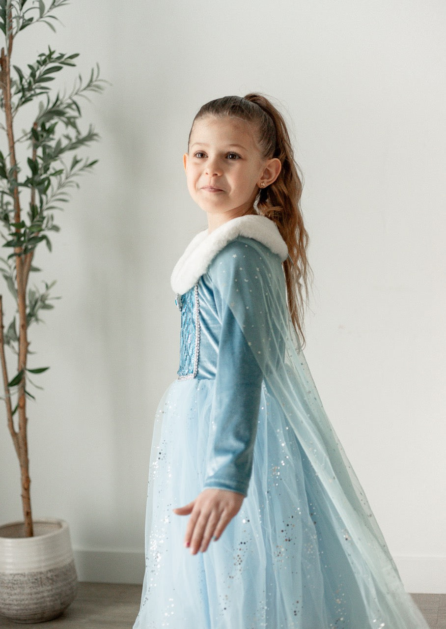 Icy Queen Princess Dress with Faux Fur Collar