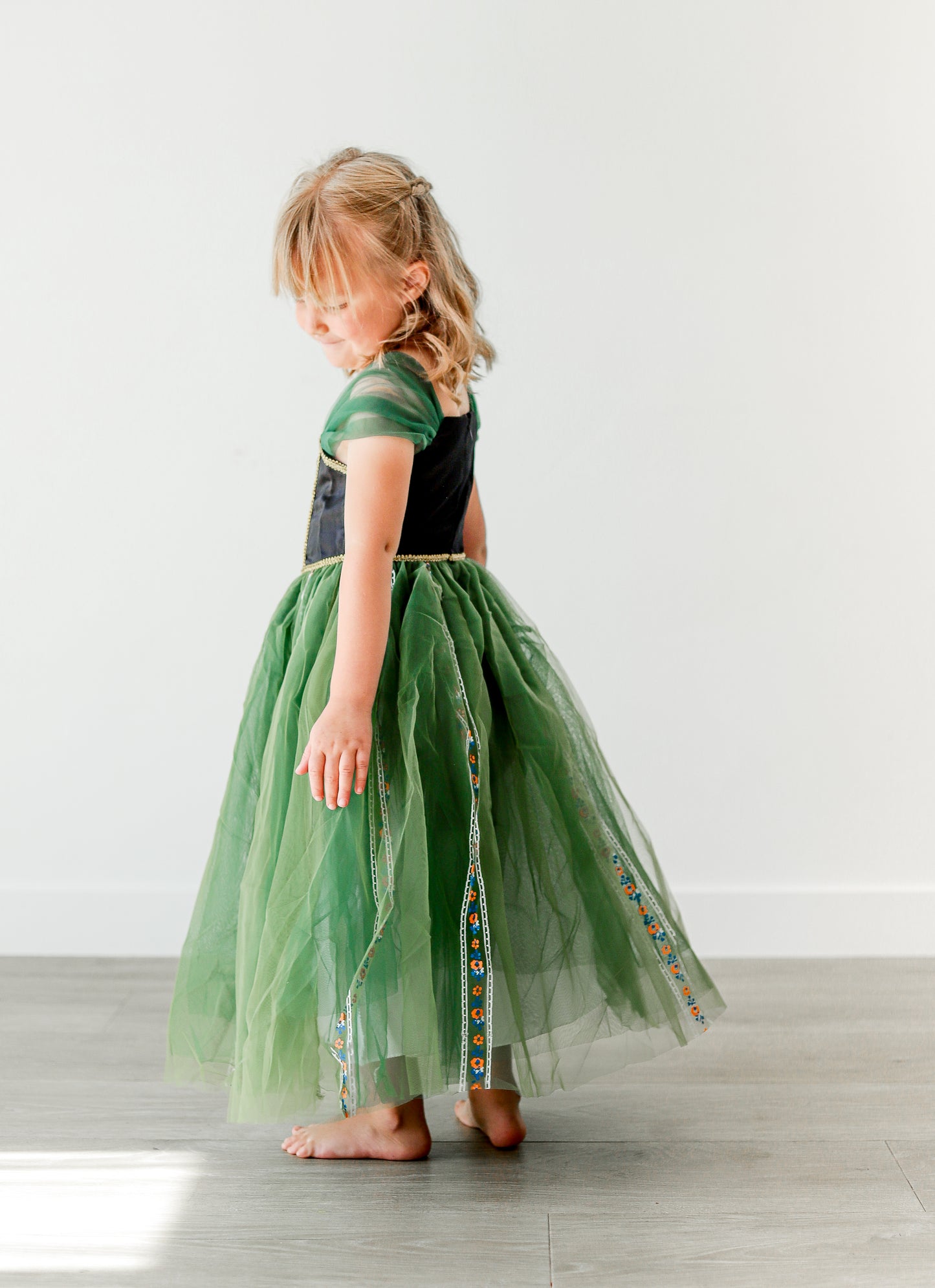Anna Inspired Princess Dress