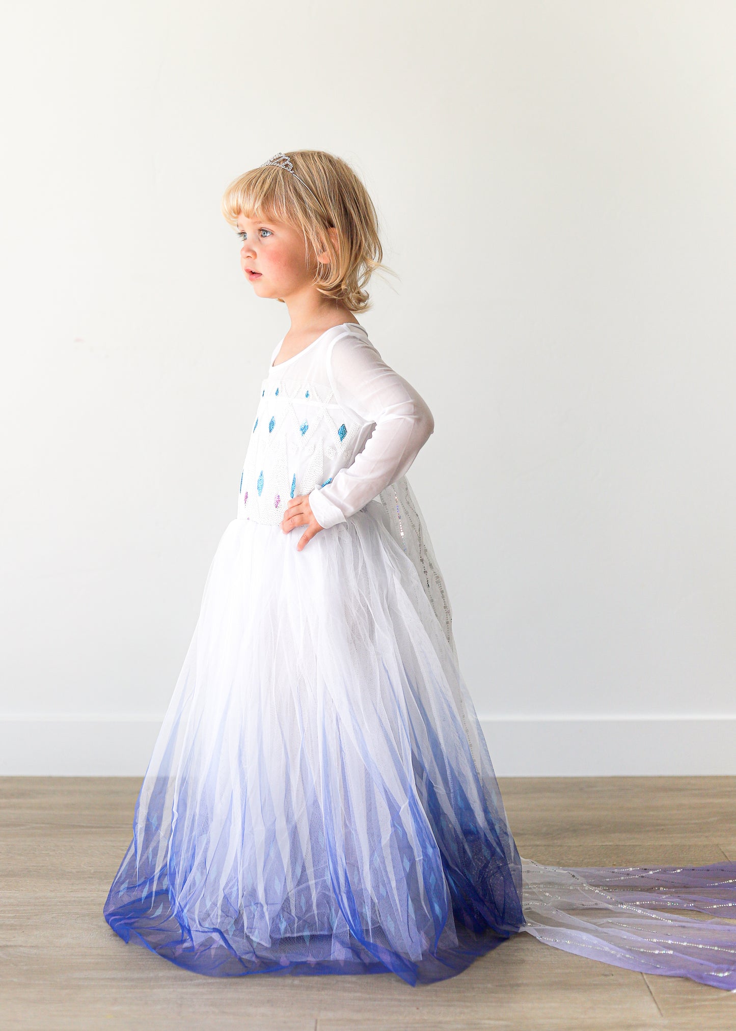 Elsa Inspired princess dress