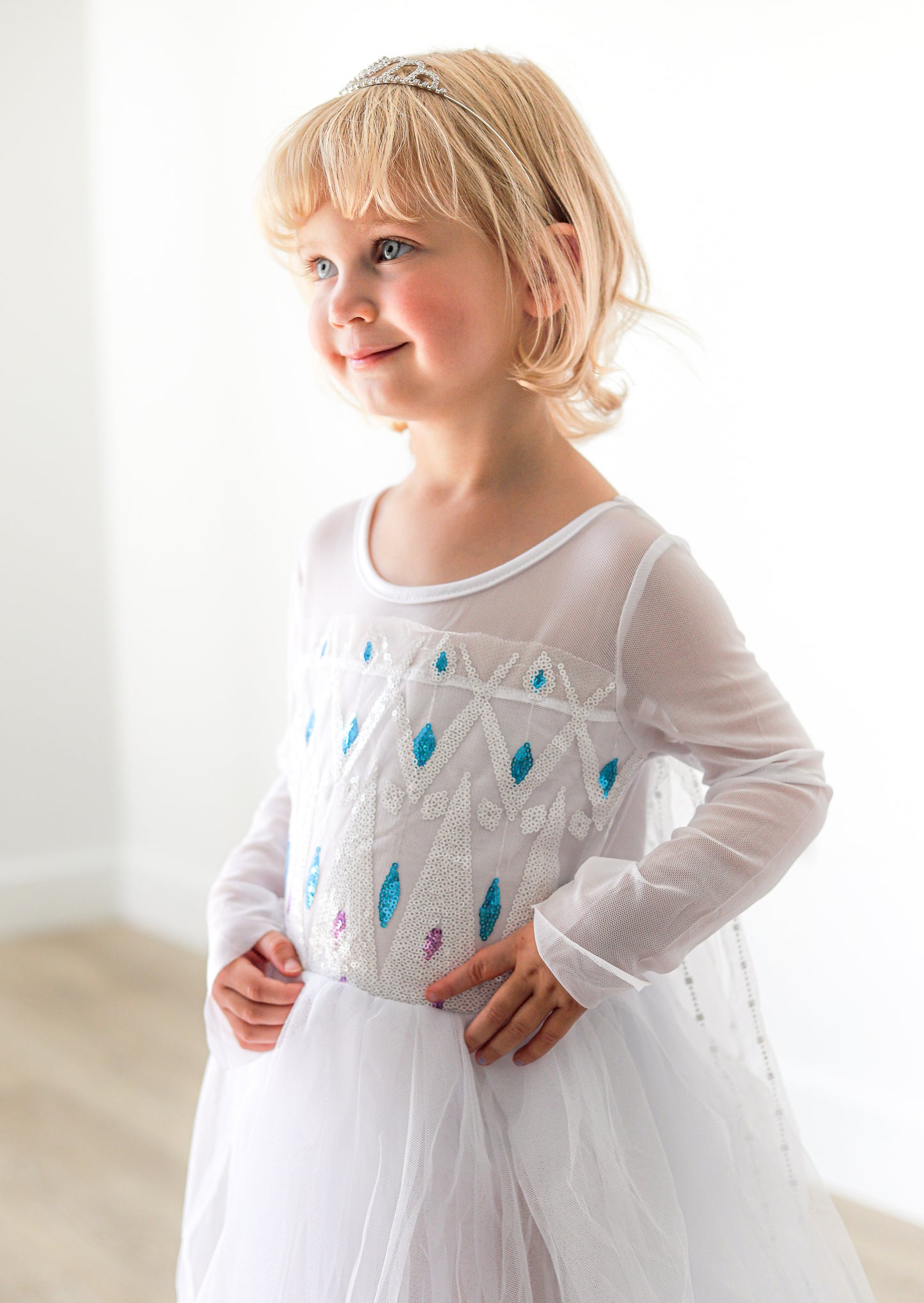 Elsa Inspired princess dress